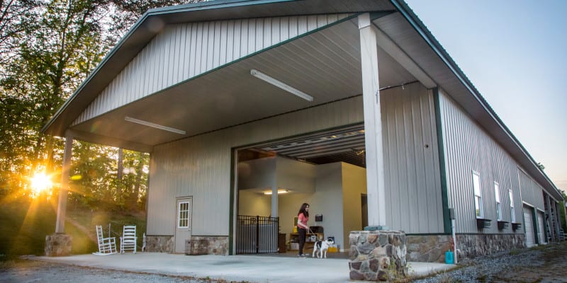 Small Dog Adoption in Mocksville, North Carolina
