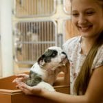 Adopt a Dog in Clemmons, North Carolina