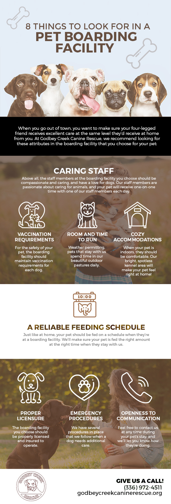 8 Things to Look for in a Pet Boarding Facility [infographic]