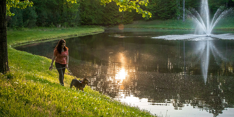 A woman taking a stroll beside lake with her dog