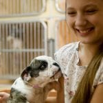 Adopt a Dog in Winston-Salem, North Carolina